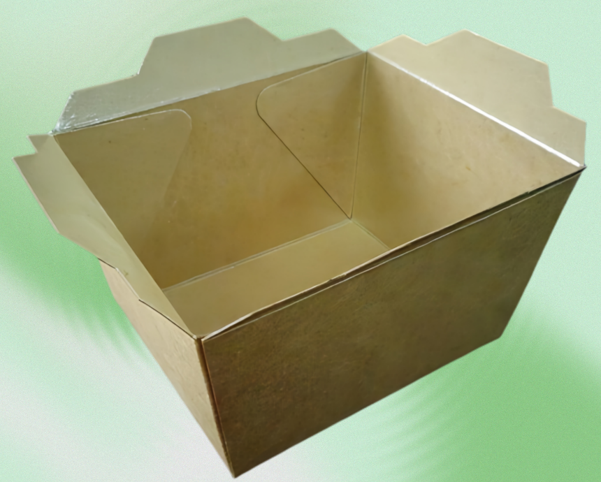 Paper Catering Trays