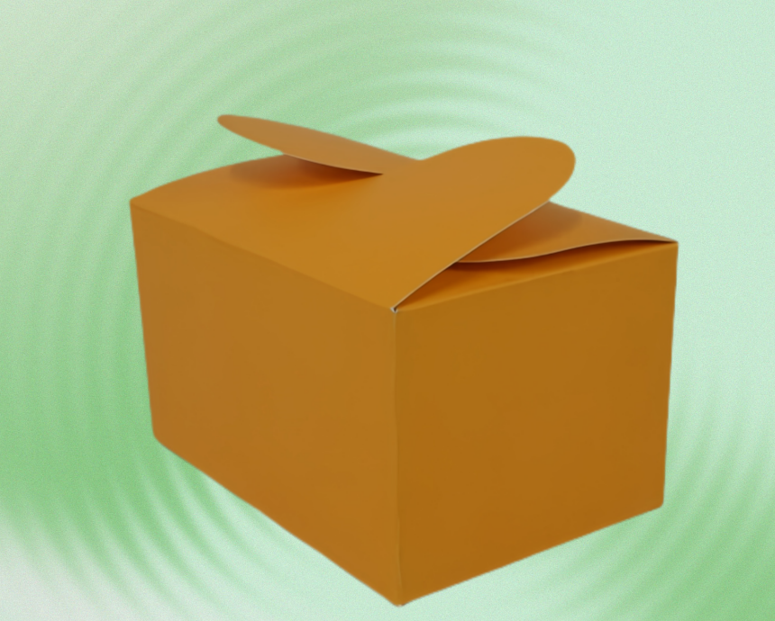 Disposable Snack Paper Boxes packaging detail