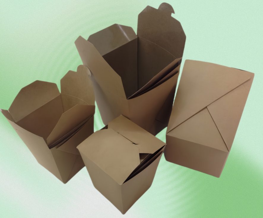 Express Delivery Noodle Boxes packaging detail