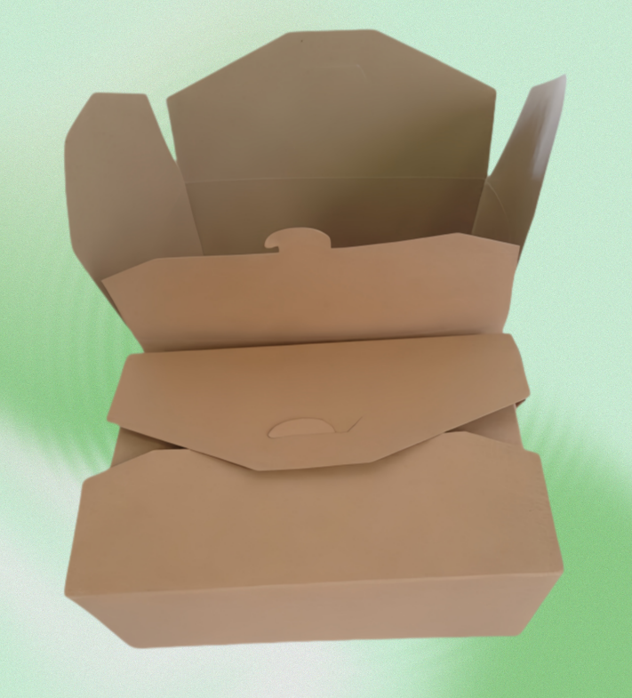 Take Away Noodle Box packaging detail